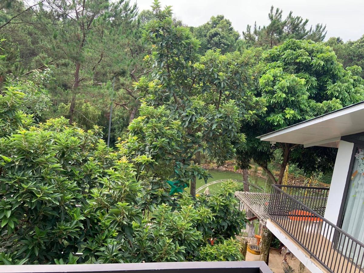 Lake View Homestay Pleiku Exteriör bild